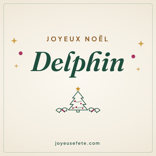 Image carrée « Joyeux Noël Delphin » pour WhatsApp
