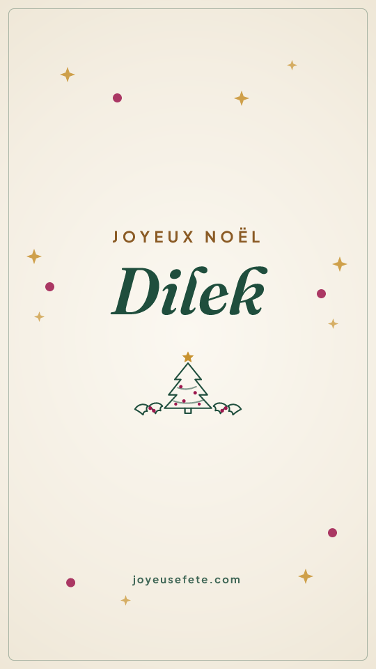 Image « Joyeux Noël Dilek » au format story