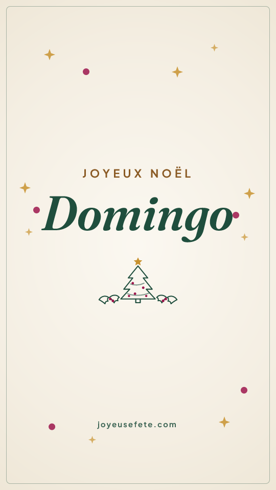 Image « Joyeux Noël Domingo » au format story