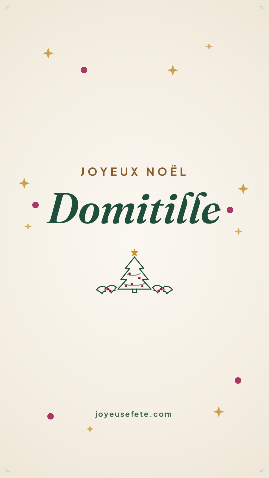 Image « Joyeux Noël Domitille » au format story