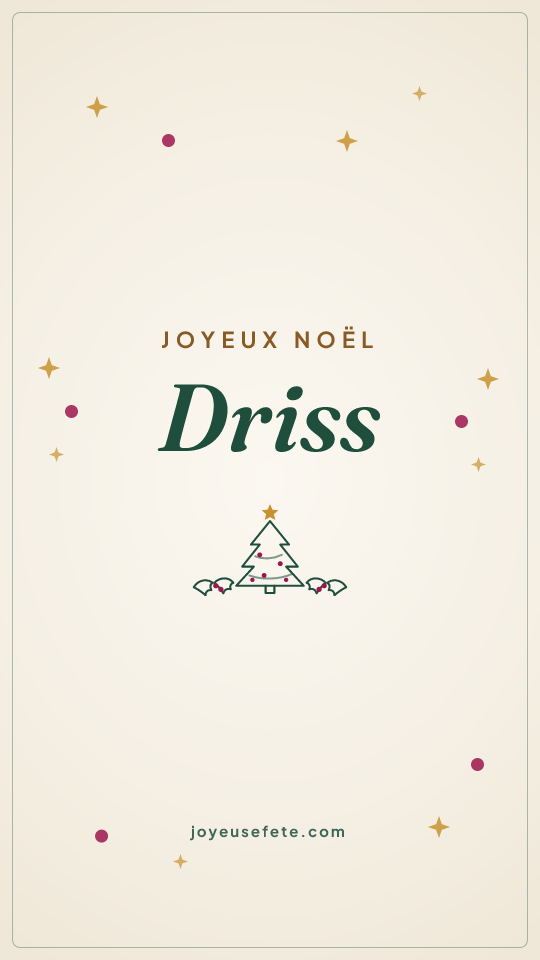 Image « Joyeux Noël Driss » au format story