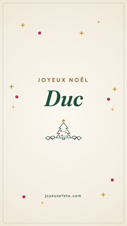 Image « Joyeux Noël Duc » au format story
