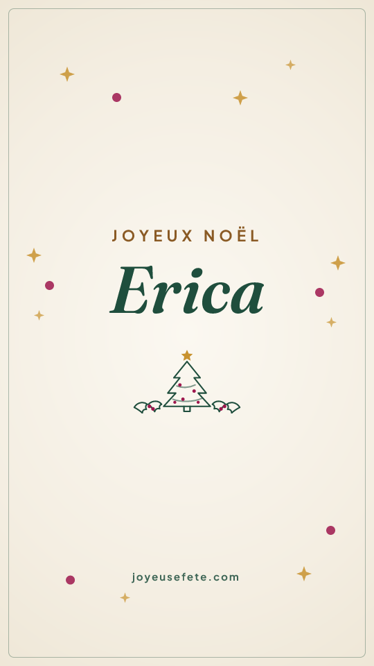 Image « Joyeux Noël Erica » au format story