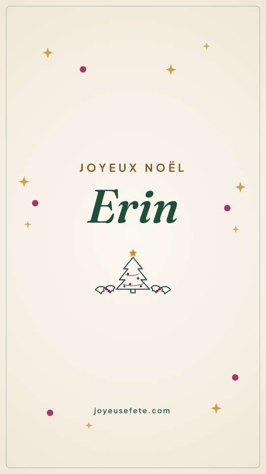 Image « Joyeux Noël Erin » au format story