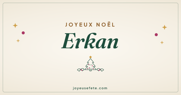 Image « Joyeux Noël Erkan » au format large
