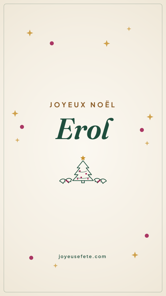 Image « Joyeux Noël Erol » au format story