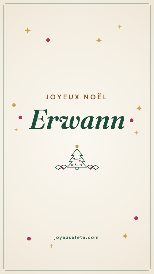Image « Joyeux Noël Erwann » au format story