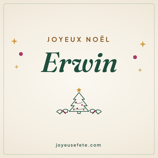 Image carrée « Joyeux Noël Erwin » pour WhatsApp