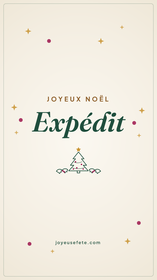 Image « Joyeux Noël Expedit » au format story