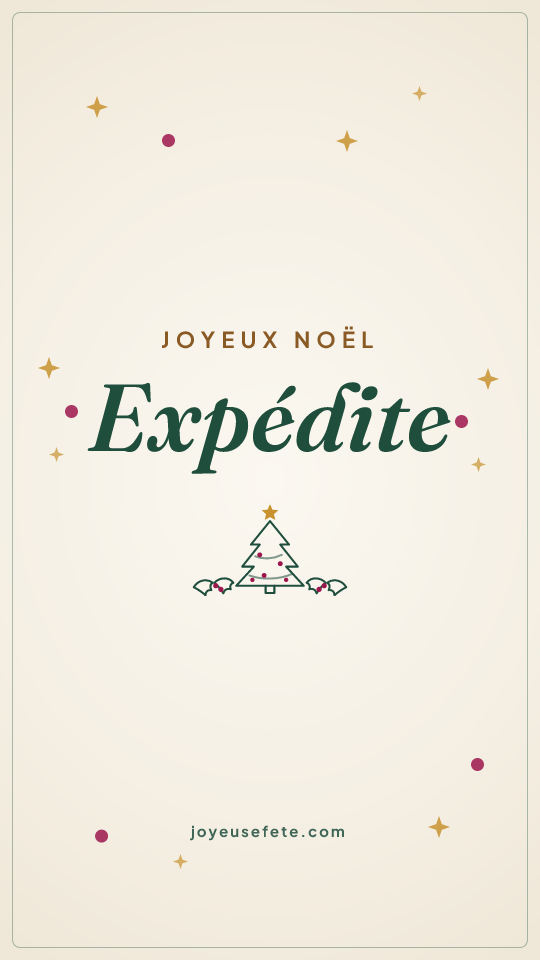 Image « Joyeux Noël Expédite » au format story