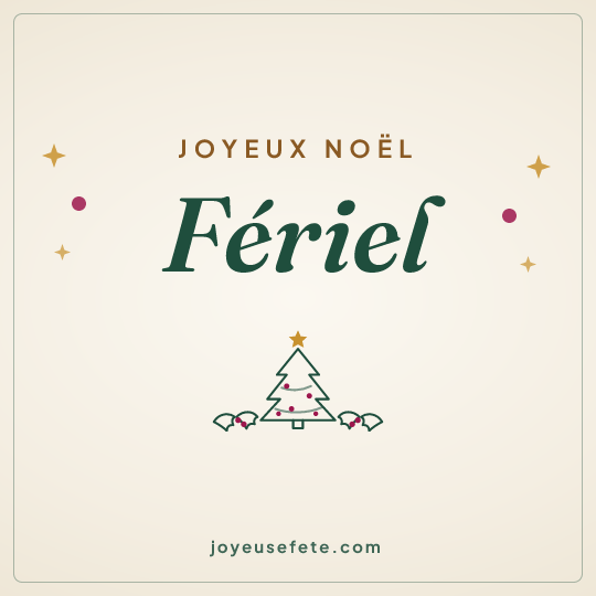 Image carrée « Joyeux Noël Fériel » pour WhatsApp