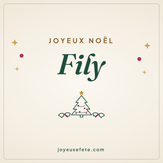 Image carrée « Joyeux Noël Fily » pour WhatsApp
