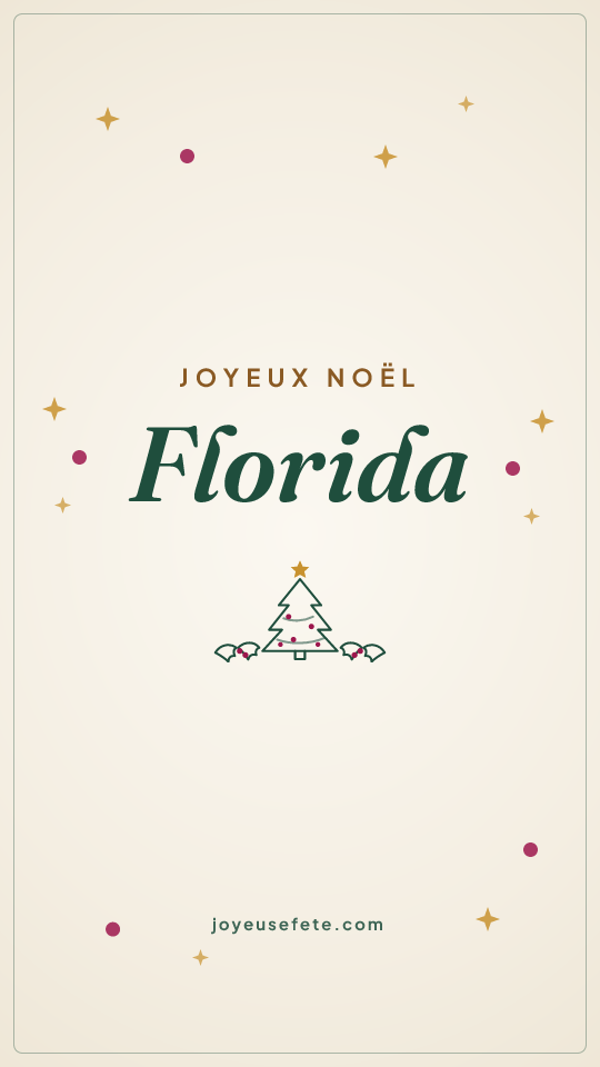 Image « Joyeux Noël Florida » au format story