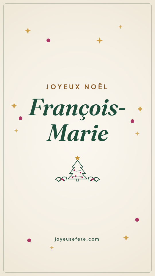 Image « Joyeux Noël François-Marie » au format story