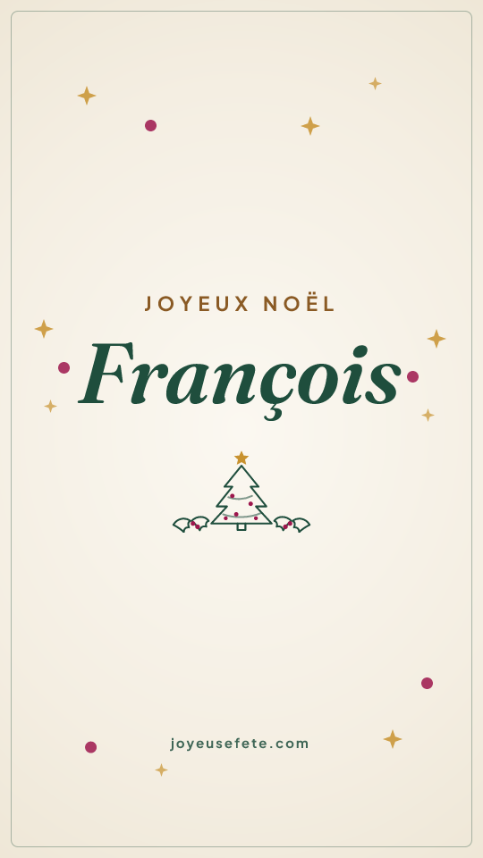 Image « Joyeux Noël François » au format story