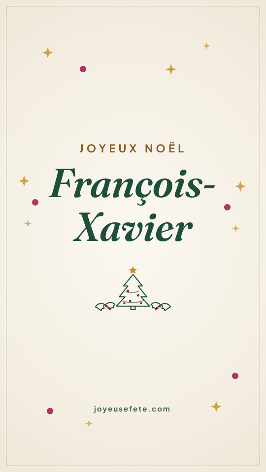 Image « Joyeux Noël François-Xavier » au format story
