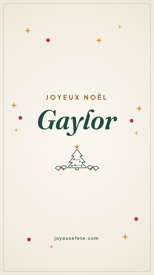 Image « Joyeux Noël Gaylor » au format story