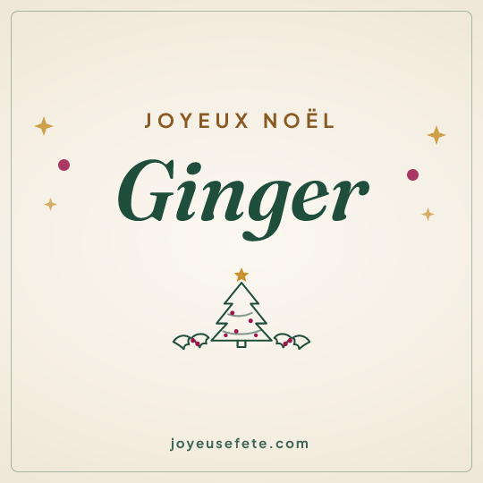 Image carrée « Joyeux Noël Ginger » pour WhatsApp
