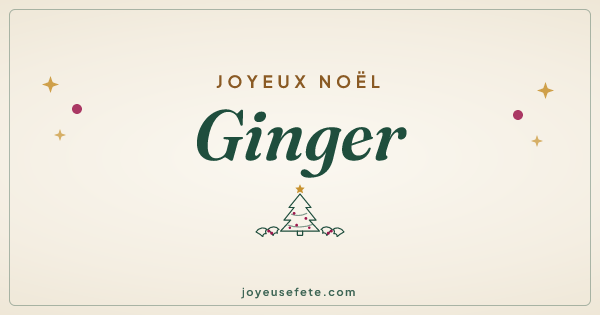 Image « Joyeux Noël Ginger » au format large