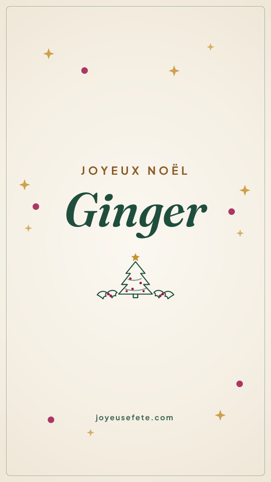 Image « Joyeux Noël Ginger » au format story