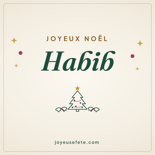 Image carrée « Joyeux Noël Habib » pour WhatsApp
