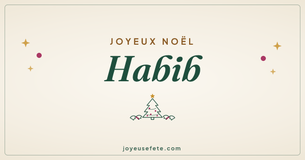 Image « Joyeux Noël Habib » au format large