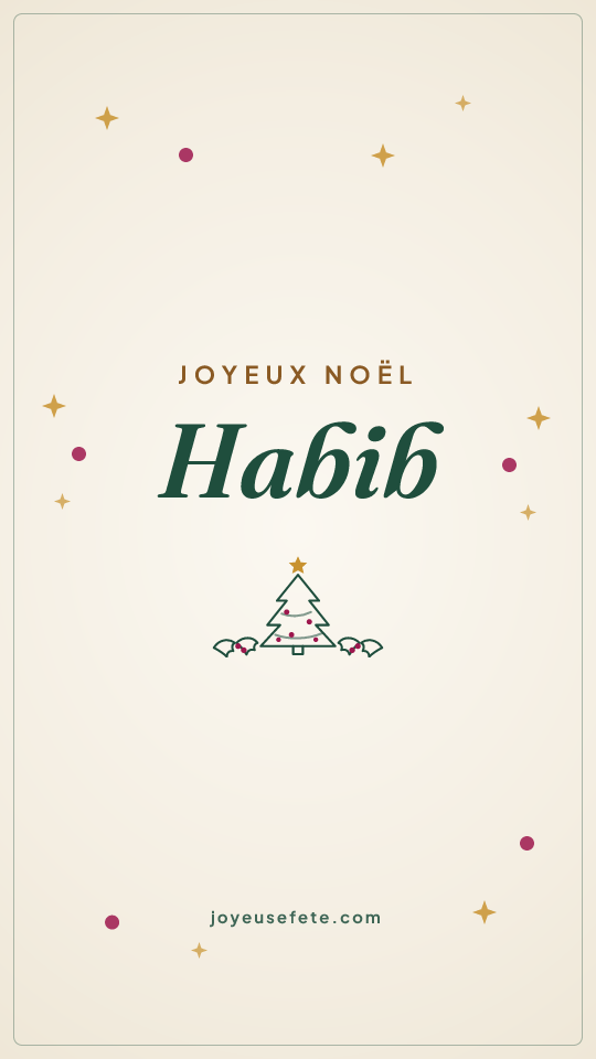 Image « Joyeux Noël Habib » au format story