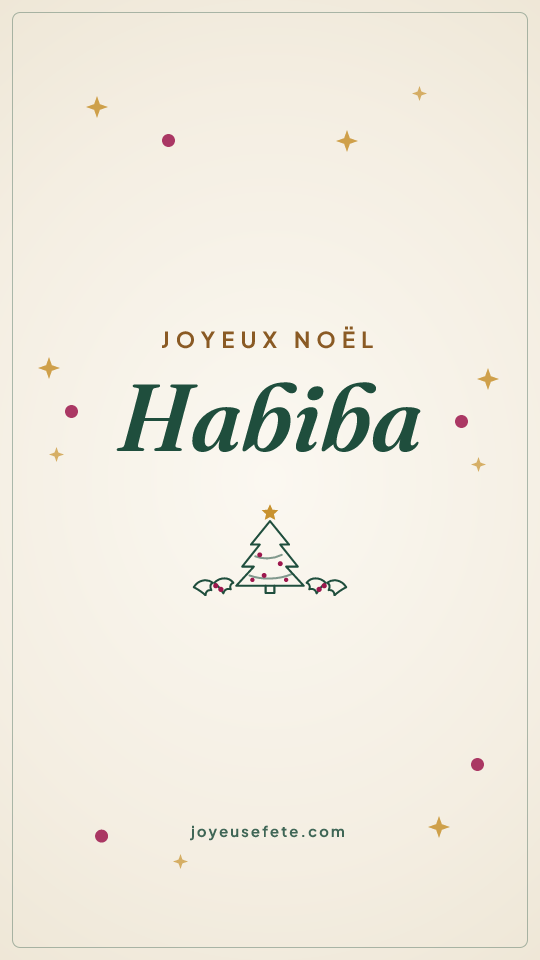 Image « Joyeux Noël Habiba » au format story