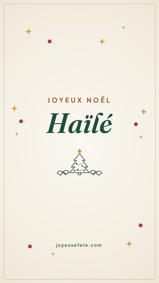Image « Joyeux Noël Haïlé » au format story