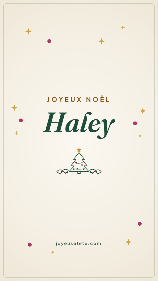 Image « Joyeux Noël Haley » au format story