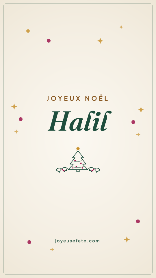 Image « Joyeux Noël Halil » au format story