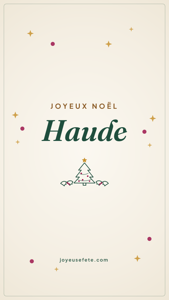 Image « Joyeux Noël Haude » au format story