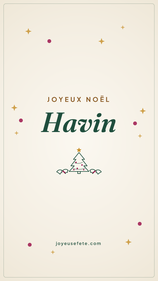 Image « Joyeux Noël Havin » au format story