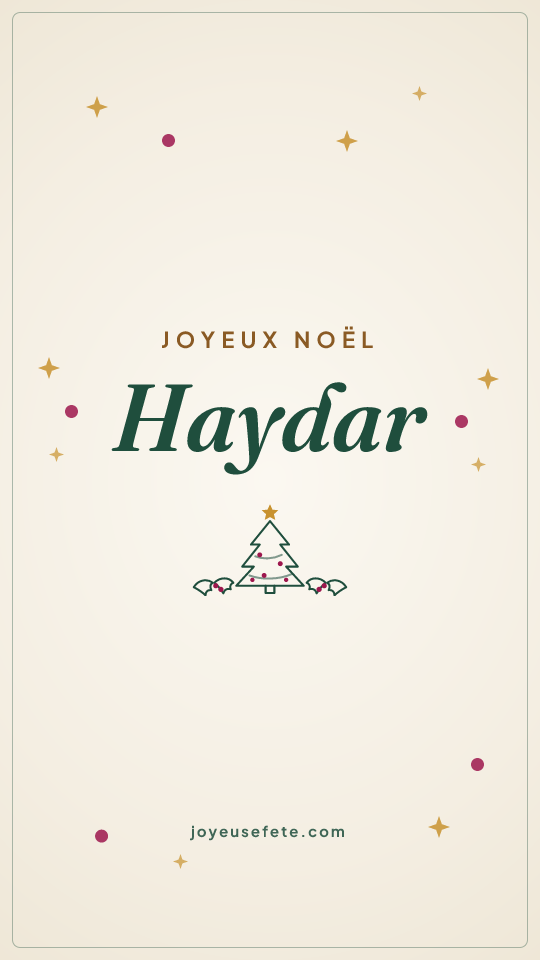 Image « Joyeux Noël Haydar » au format story