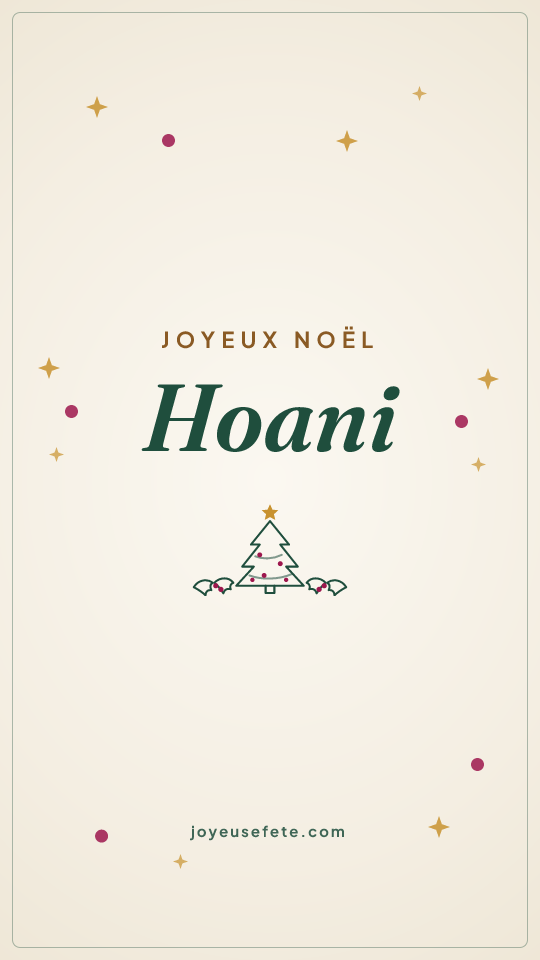 Image « Joyeux Noël Hoani » au format story