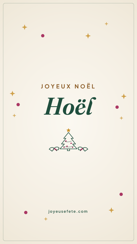 Image « Joyeux Noël Hoël » au format story