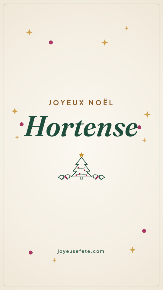 Image « Joyeux Noël Hortense » au format story