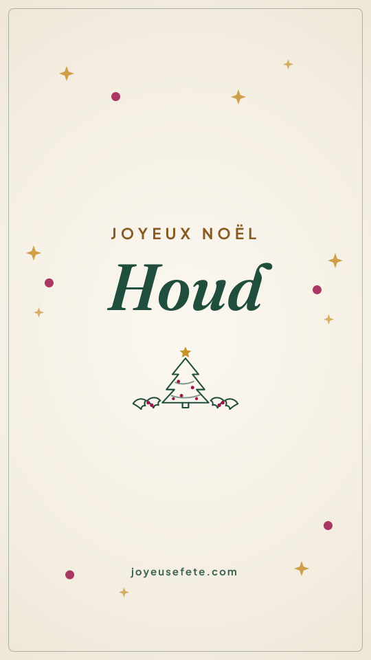 Image « Joyeux Noël Houd » au format story
