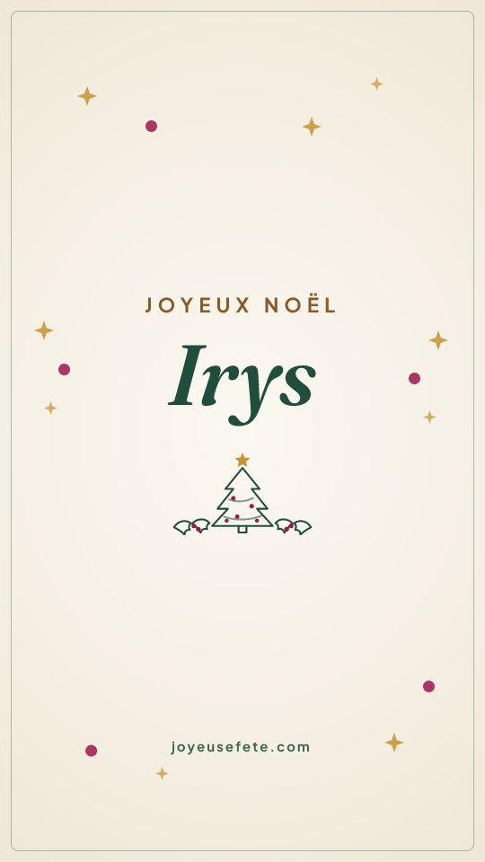 Image « Joyeux Noël Irys » au format story