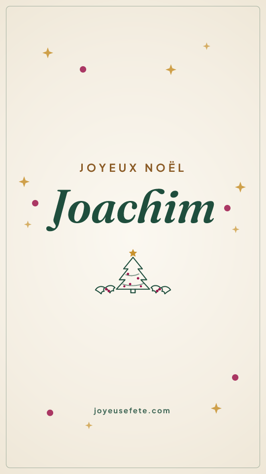 Image « Joyeux Noël Joachim » au format story