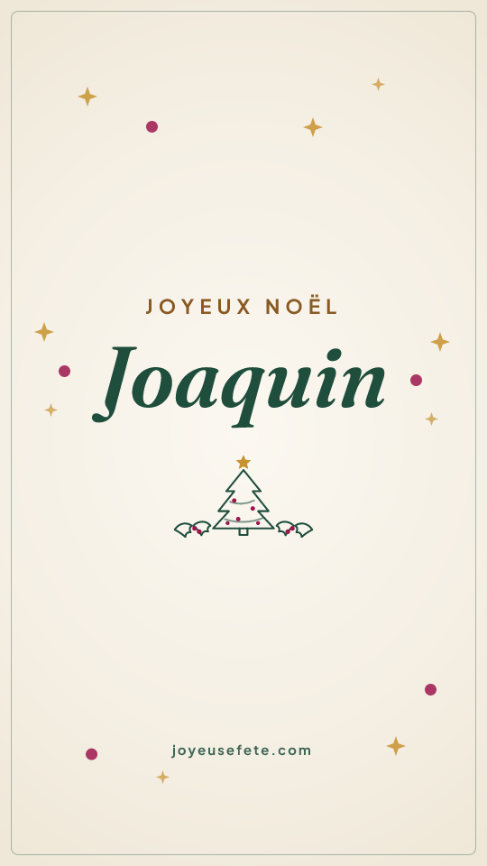 Image « Joyeux Noël Joaquin » au format story