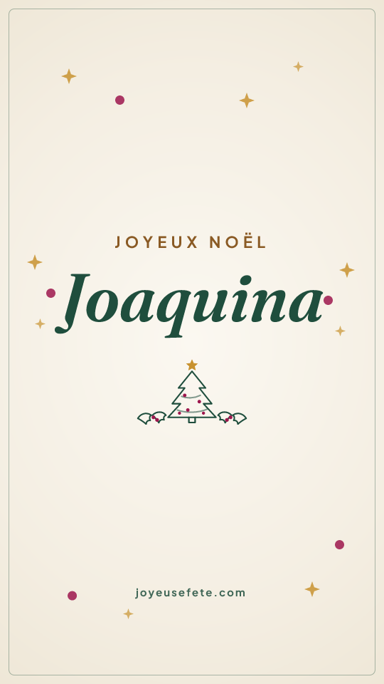 Image « Joyeux Noël Joaquina » au format story