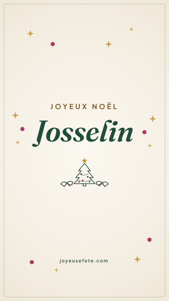 Image « Joyeux Noël Josselin » au format story