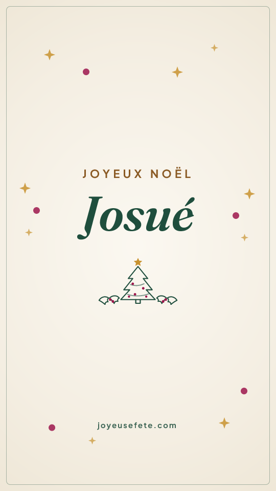 Image « Joyeux Noël Josué » au format story
