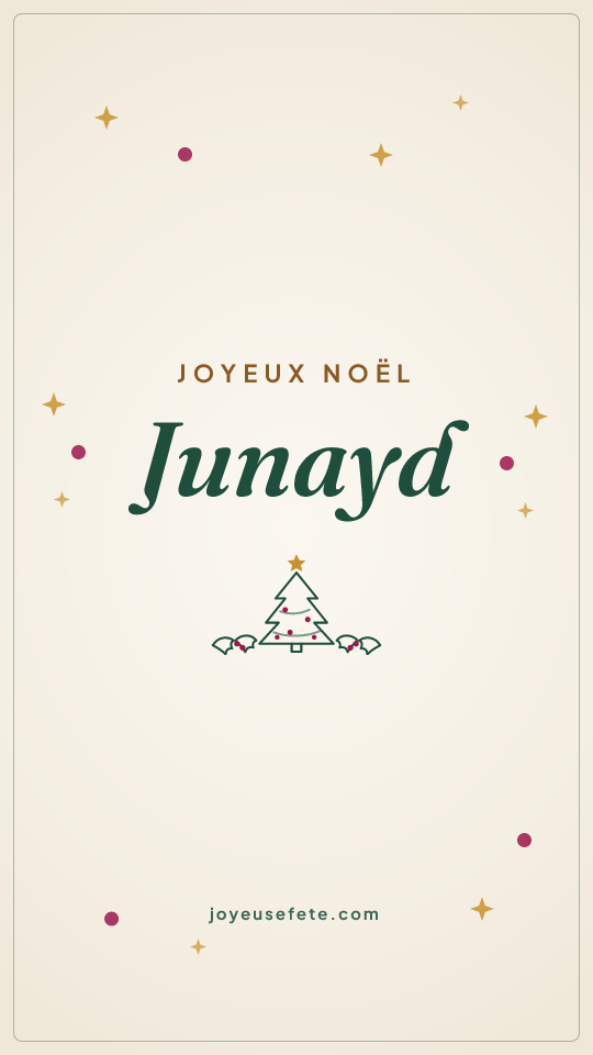 Image « Joyeux Noël Junayd » au format story