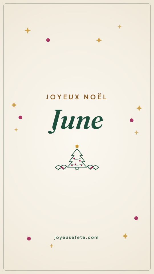 Image « Joyeux Noël June » au format story