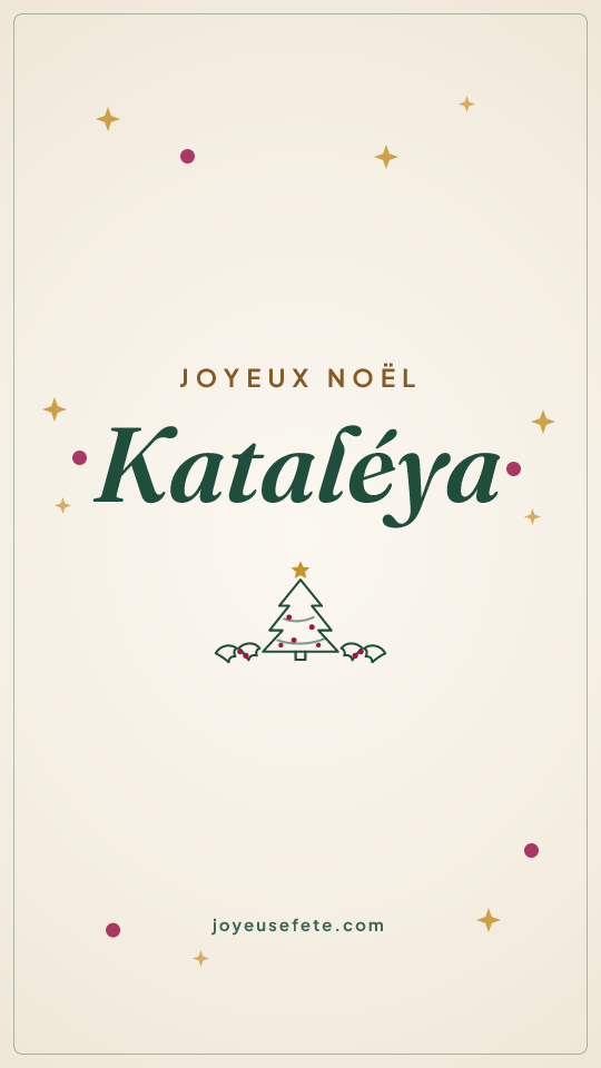 Image « Joyeux Noël Kataléya » au format story
