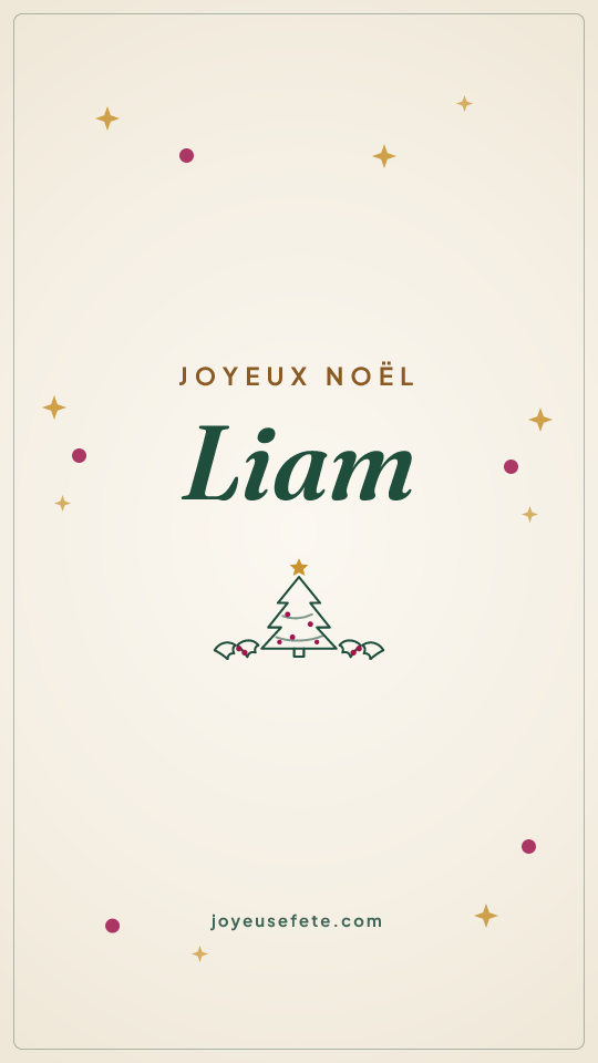 Image « Joyeux Noël Liam » au format story
