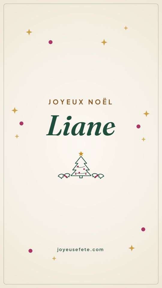 Image « Joyeux Noël Liane » au format story