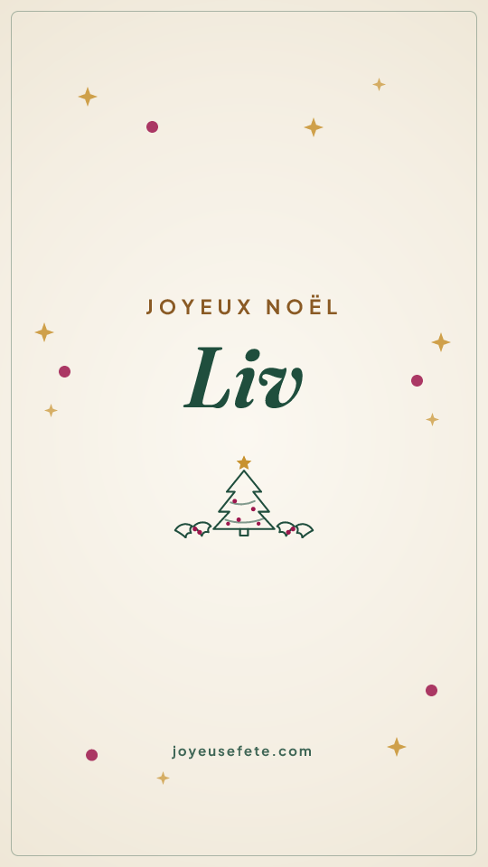 Image « Joyeux Noël Liv » au format story